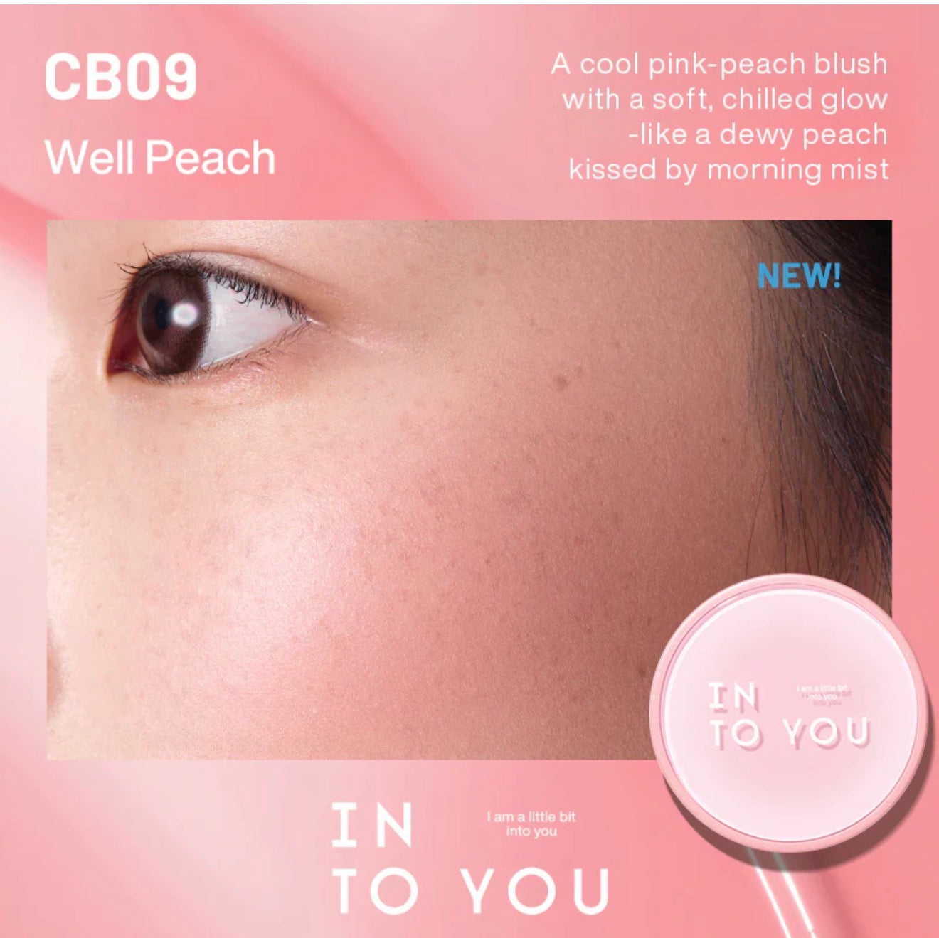 INTO YOU Air Cushion Blush | Bunni Beauty