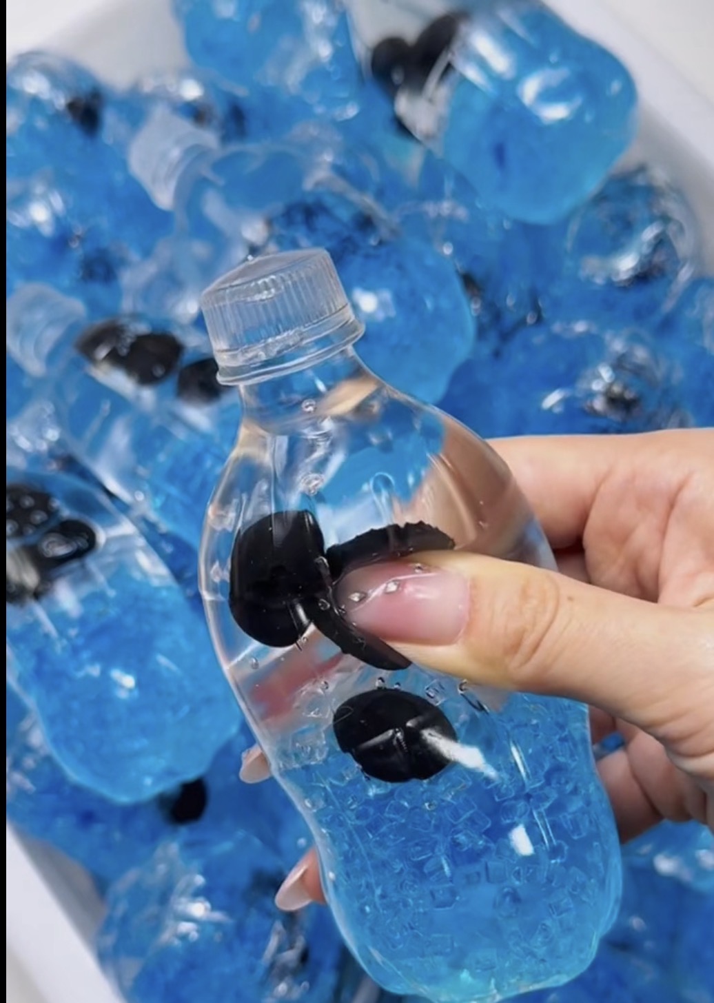 Blueberry Soda Bottle Squishy Toy