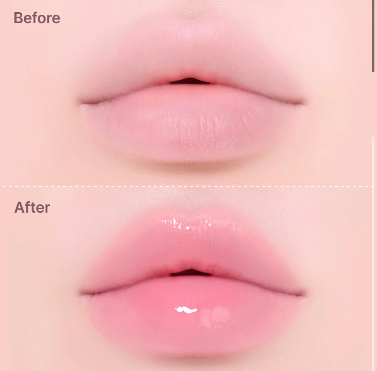 Dasique Candy Rolling Pot | Bunni Beauty