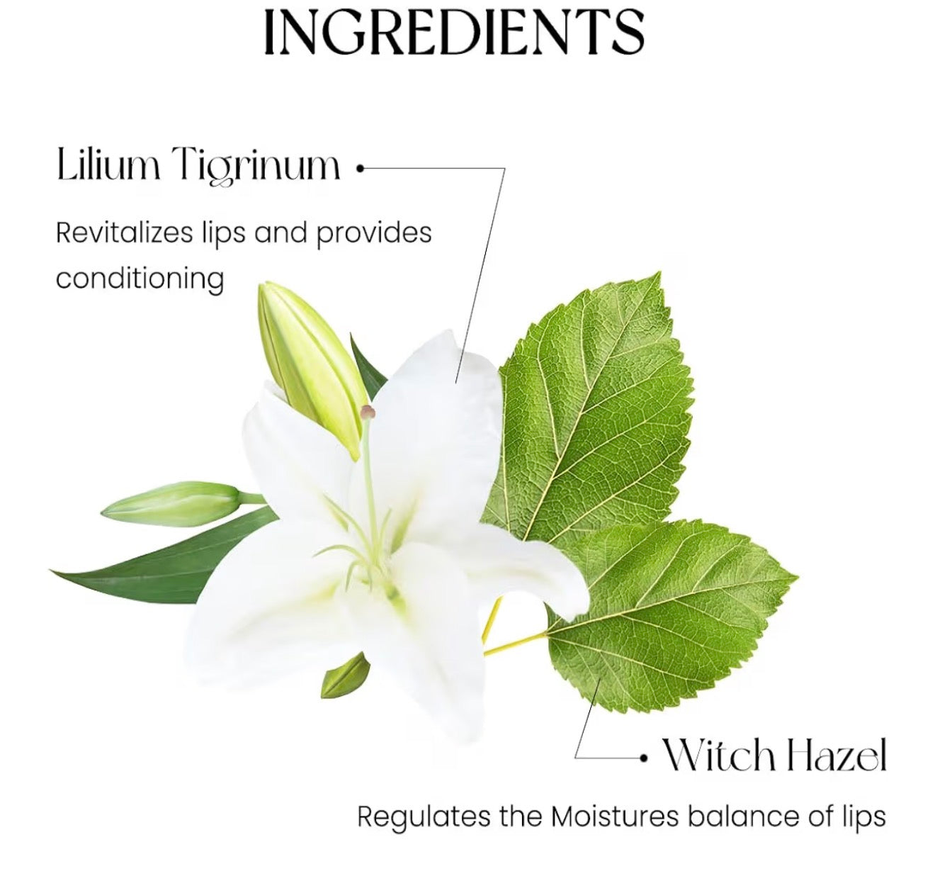 Peripera Ink Mood Glowy Tint | Bunni Beauty