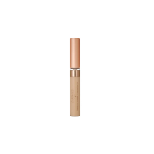 CANMAKE Cover & Stretch Concealer UV | Bunni Beauty