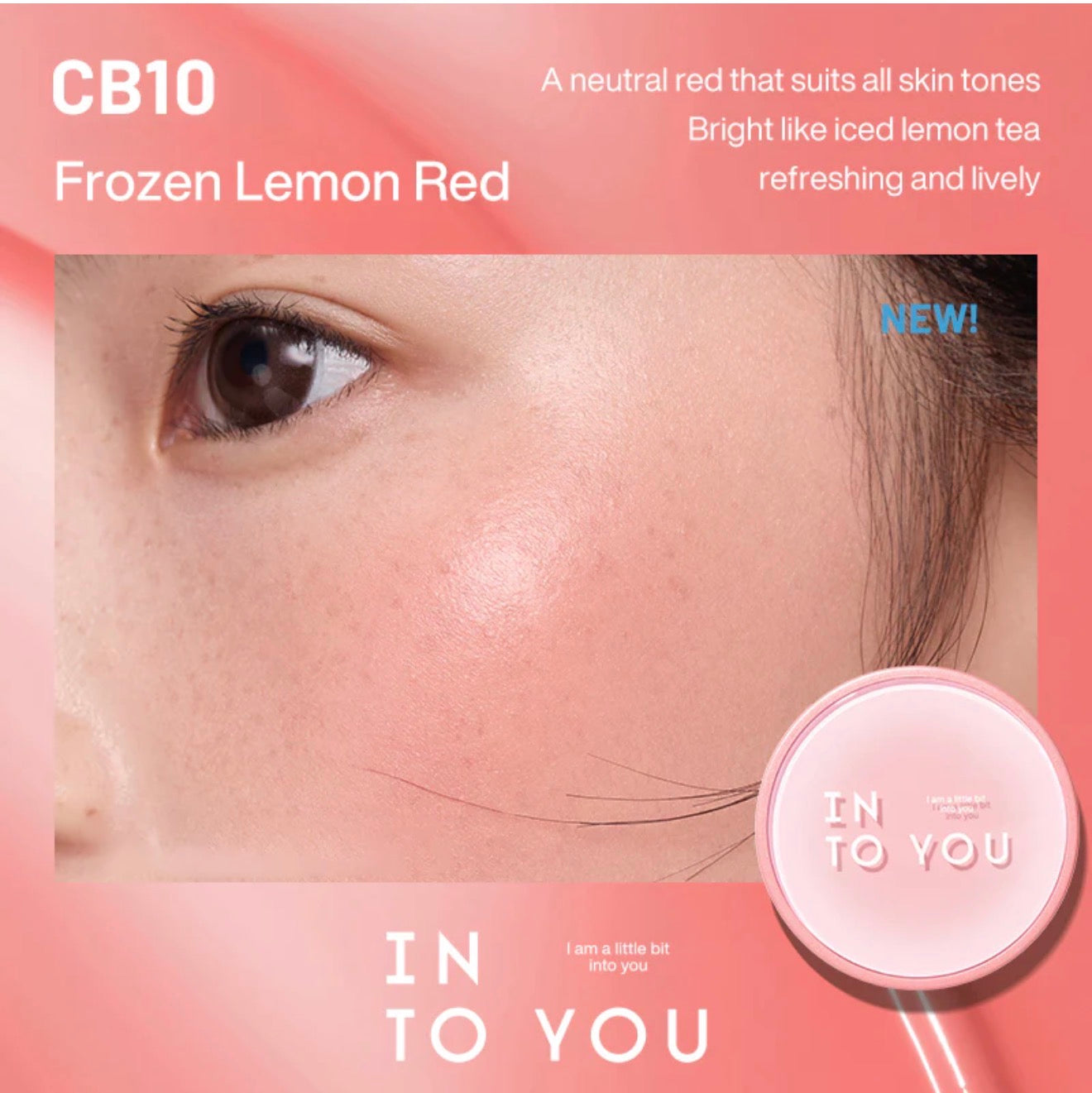 INTO YOU Air Cushion Blush | Bunni Beauty