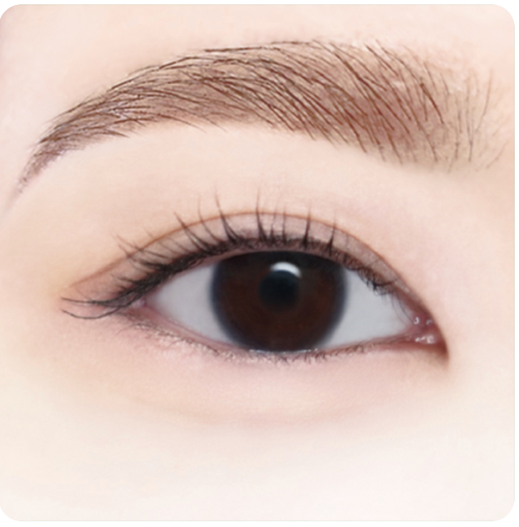 CANMAKE Waterproof 3-Way Slim Shade Liner | Bunni