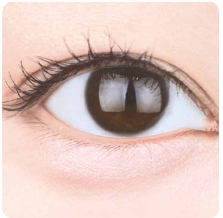 CANMAKE Plumpuku Coordinate Eyes Neo | Bunni Beauty