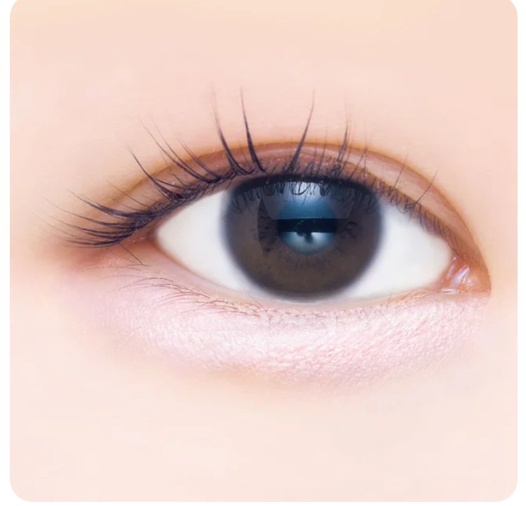 CANMAKE Plumpuku Coordinate Eyes Neo | Bunni Beauty