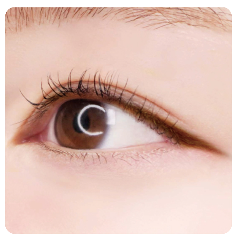 CANMAKE Creamy Touch Liner Waterproof | Bunni Beauty