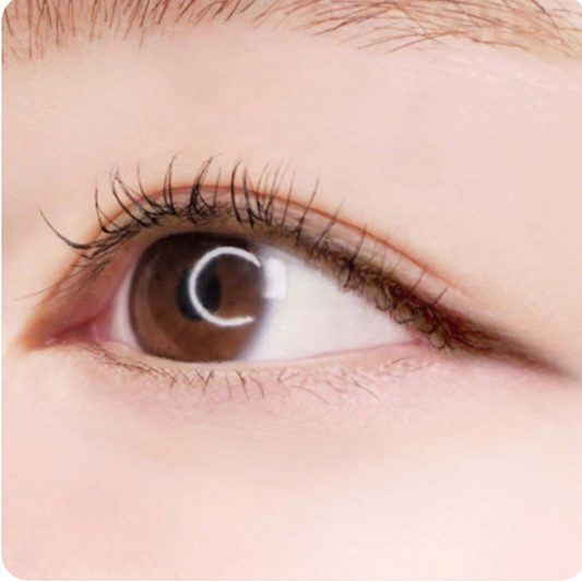 CANMAKE Creamy Touch Liner Waterproof | Bunni Beauty