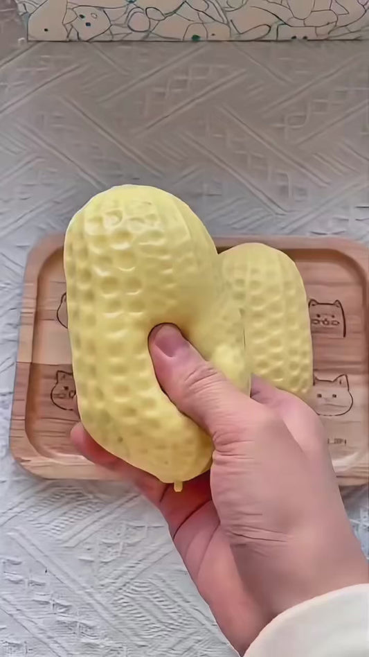 Viral Crunchy Peanut Squishy