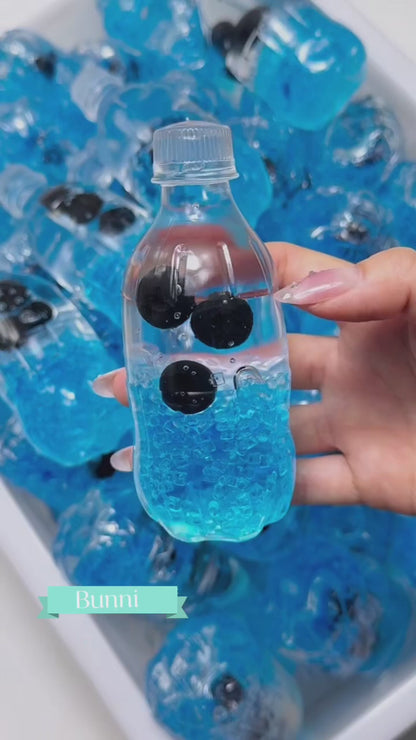 Blueberry Soda Bottle Squishy Toy